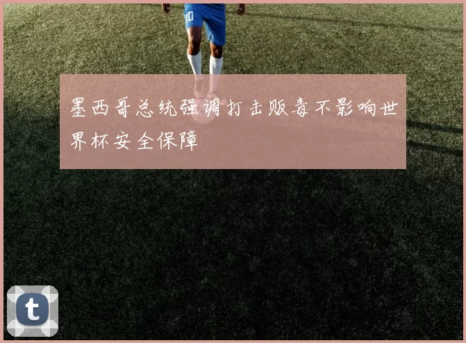 墨西哥总统强调打击贩毒不影响世界杯安全保障