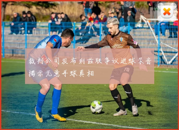 裁判公司发布利兹联争议进球录音揭示无意手球真相